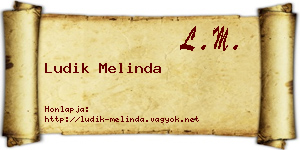 Ludik Melinda névjegykártya