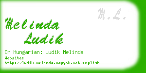 melinda ludik business card